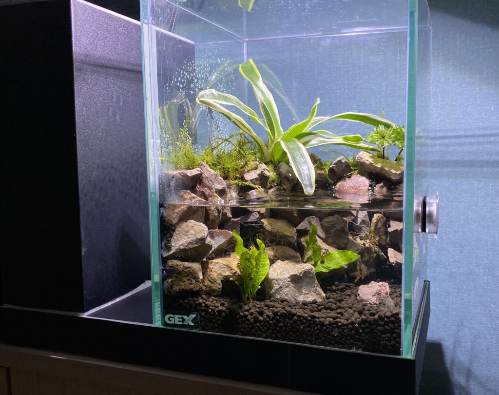 450×300×360パルダリウム水槽、植物育成用ガラスケース-
